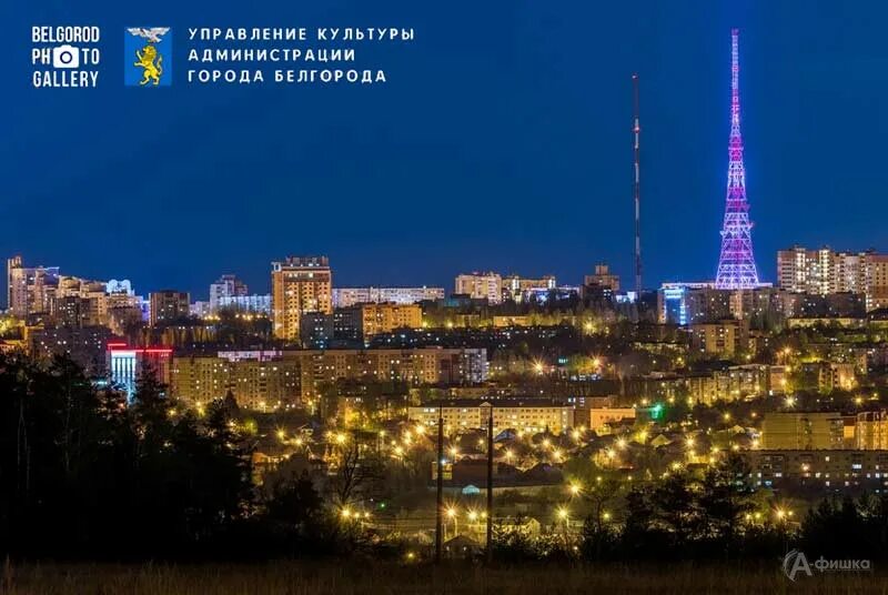 Центр закупок Белгородской области ОГКУ "Центр закупок"