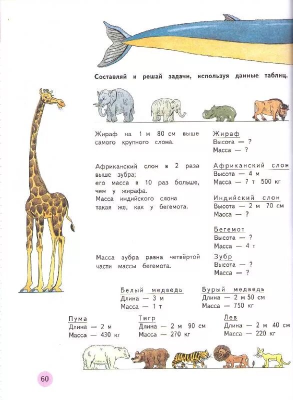 4 класс 1 часть страница 56. Задачи про животных. Задачи про животных 4 класс. Задачи про животных 2 класс. Задача про жирафа.