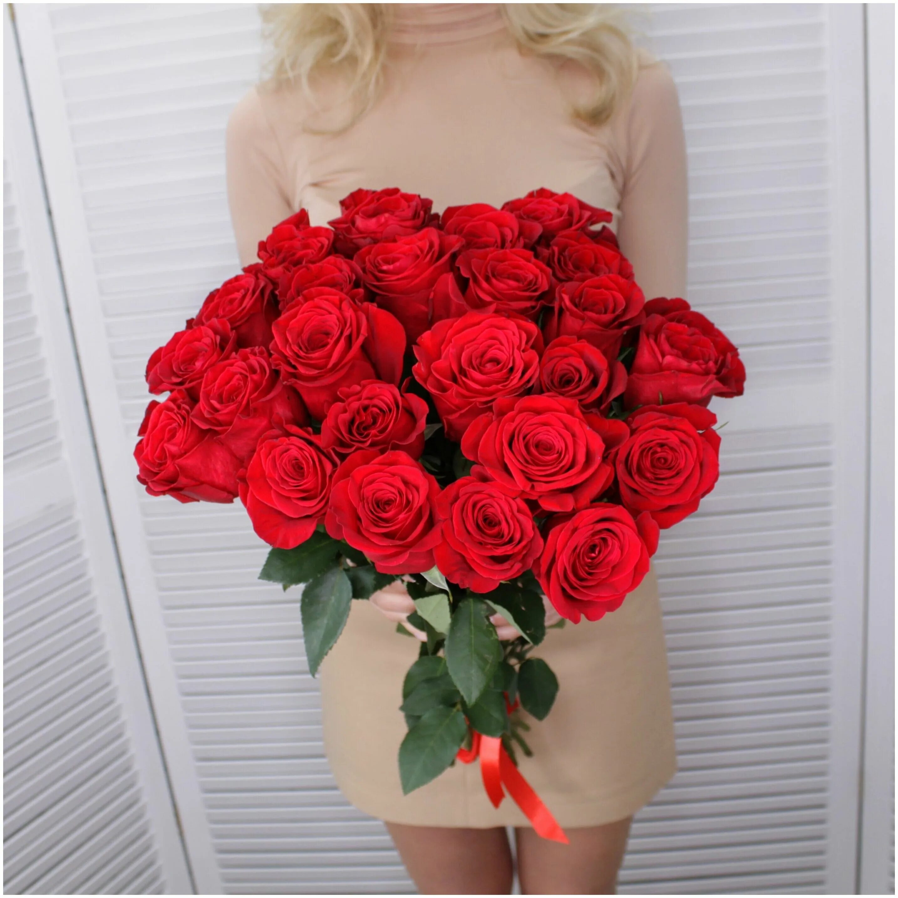 Розы эквадор купить. Букет из эквадорских роз длинный. 25 Красных роз 60см.
