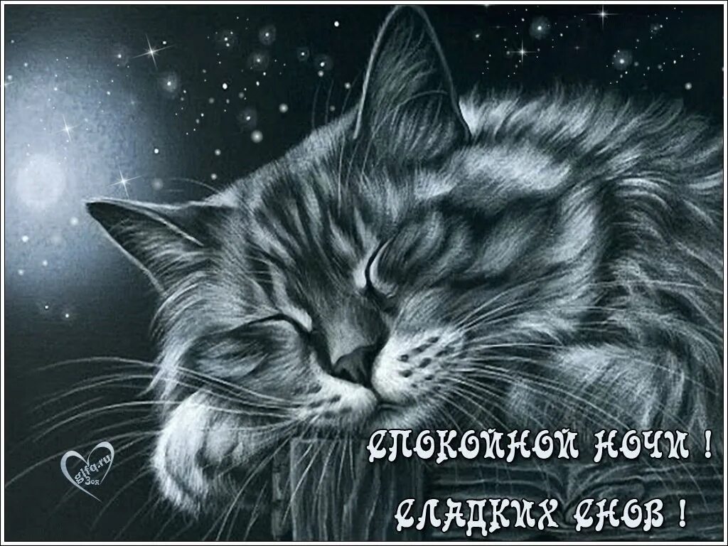 18 мои ночи. Спокойной ночи. спокойной ночи сладких снов. спокойной ночи котики. доброй ночи сладких снов.