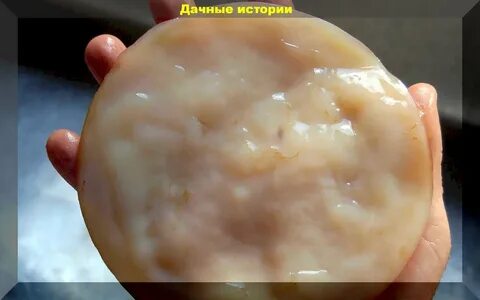 Яблочная матка