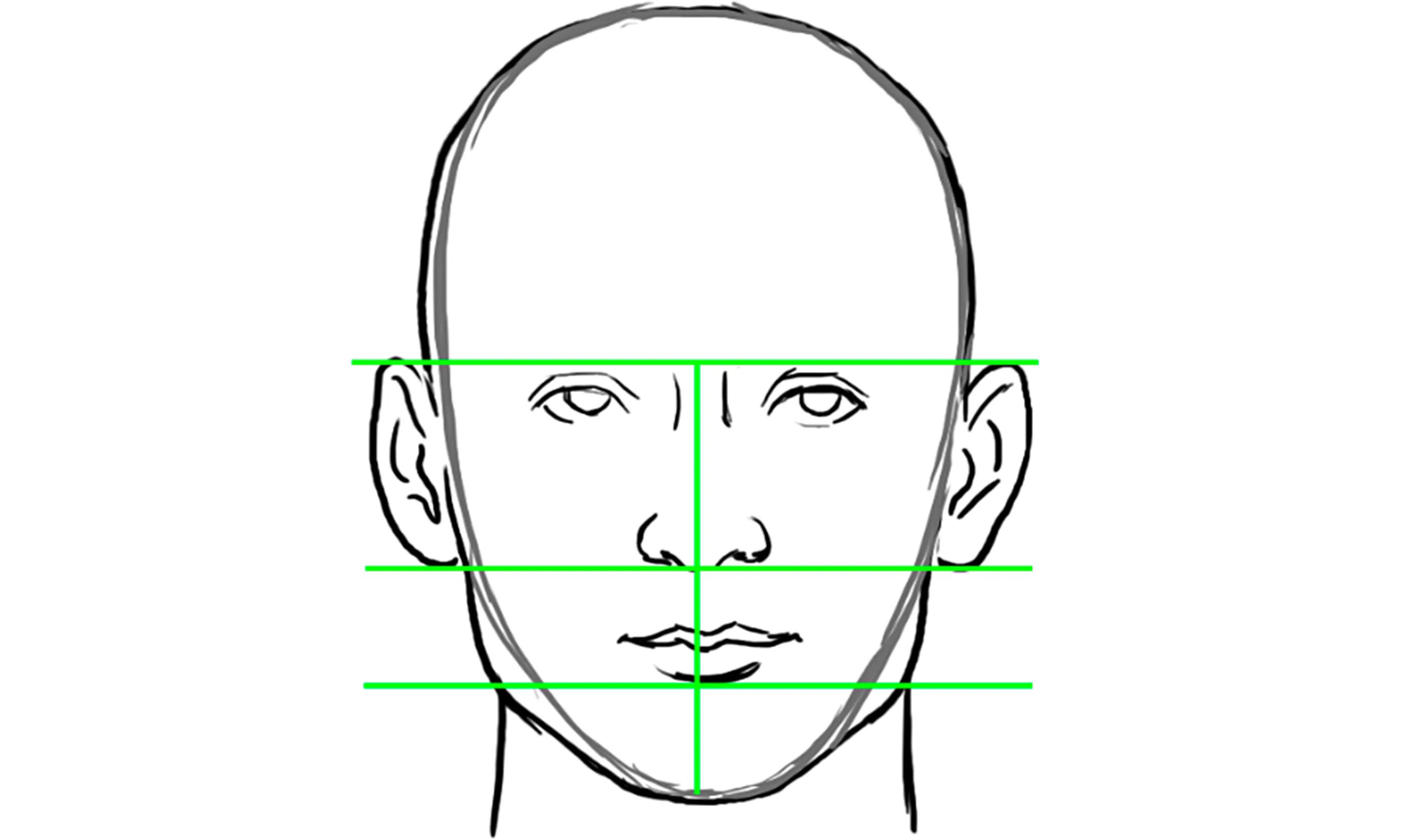 Поэтапное рисование лица. Этапы рисования лица человека. Схема лица человека для рисования. Человеческое лицо рисунок. Как нарисовать лицо человека поэтапно для начинающих