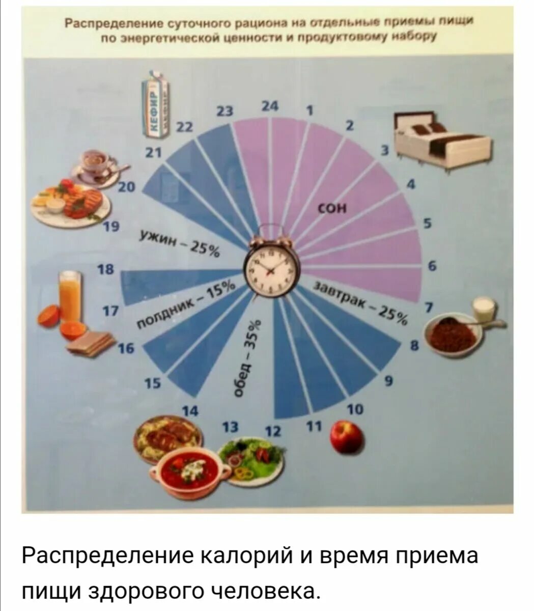 Сколько надо времени организму. Распределение пищи в течение дня. Правильное распределение пищи. Правильное питание распределение. Распределение калорийности пищи.