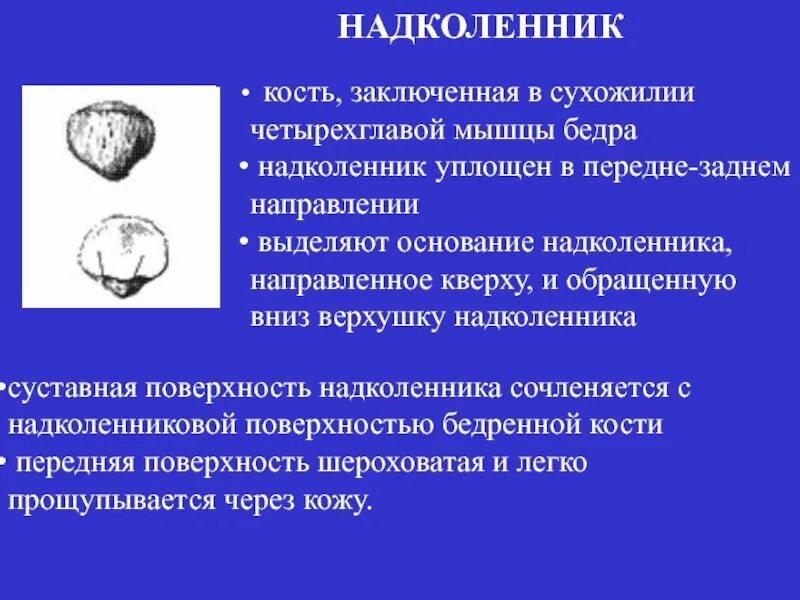 Латерализация надколенника. Формы надколенника. Дополнительный надколенник. Типы строения надколенника. Нестабильный Тип надколенника.