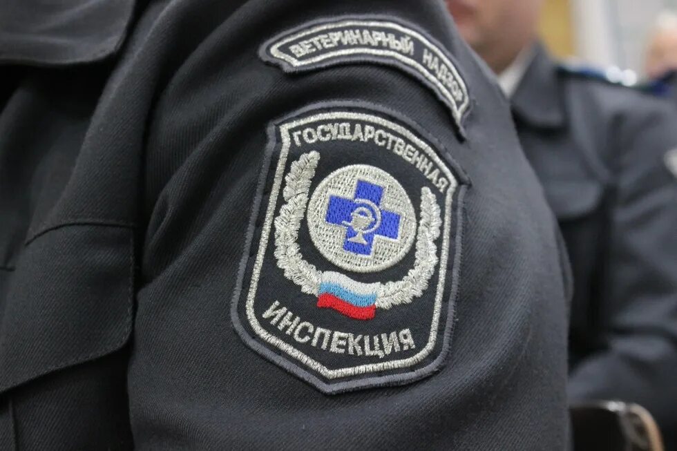 Главным государственным ветеринарным инспектором является. Главным государственным ветеринарным инспектором является