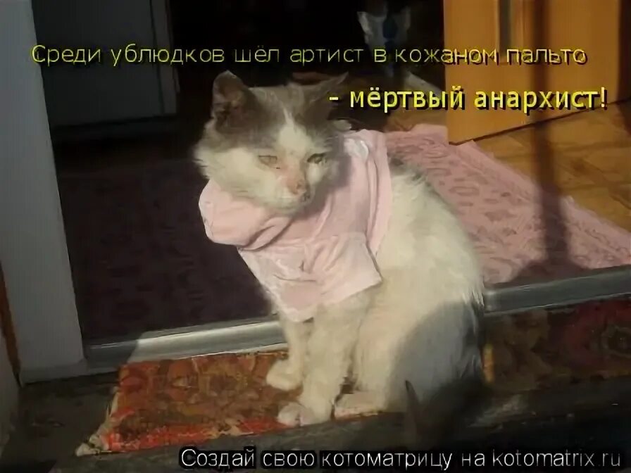 король и шут мёртвый анархист. король и шут мем. мёртвый анархист король и шут текст. среди ублюдков шел артист в кожаном плаще мертвый анархист текст. среди ублюдков шел артист в кожаном плаще мертвый анархист.