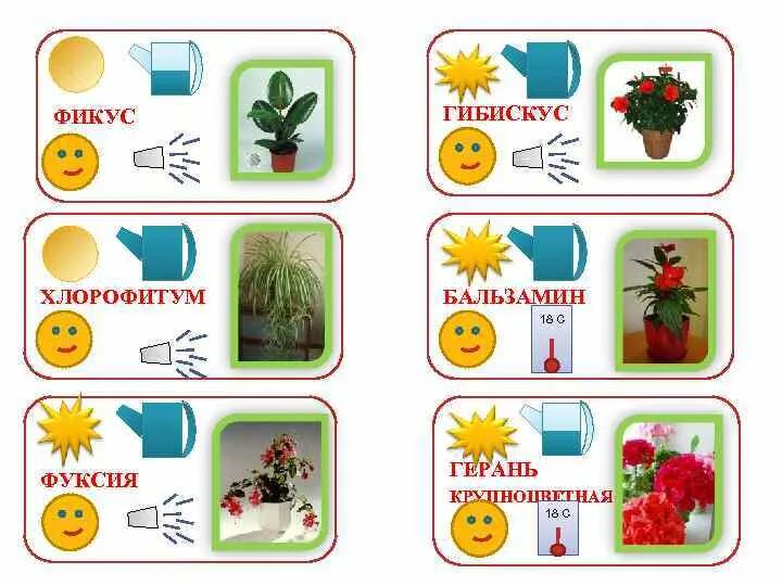 Карту ухаживать. Таблички для комнатных растений в детском саду. Названия на цветы в детском саду. Маркировка цветов в детском саду.
