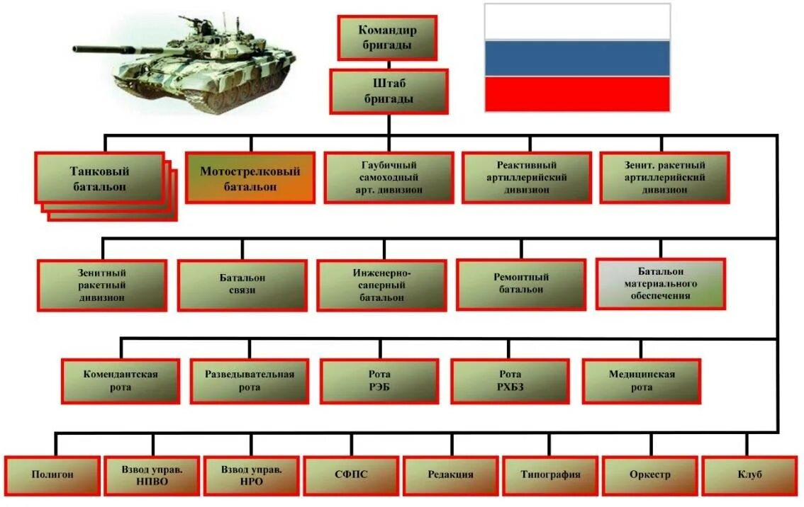 Отделение вс рф. Организационно штатная структура танковой дивизии России. Органфизациоая структура мотострелкового батальна вс р. Организационная штатная структура мотострелкового полка. Структура дивизии армии России.