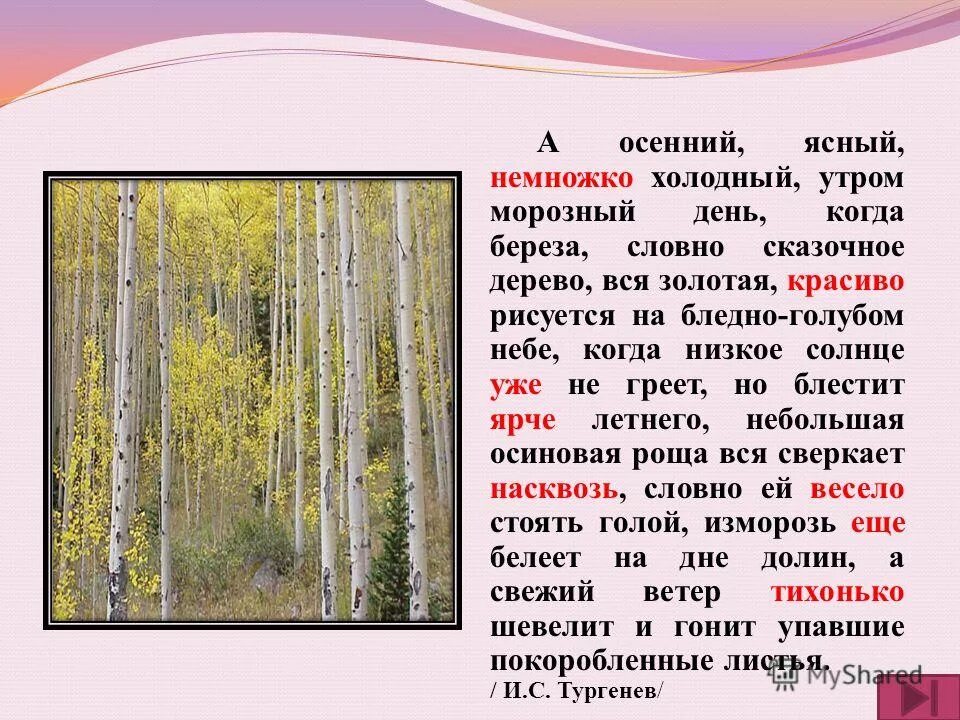 было холодно и утром и днем. лето цитаты высказывания. доброе утро в холодную погоду. согревайте друг друга. прикольные статусы про холод.