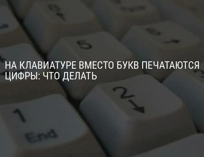 Как выглядит клавиатура на компьютере на ноутбуке. Клавиатура компьютера с цифрами справа. Не печатаются буквы на клавиатуре. Как включить клавиатуру сбоку цифры. Не печатаются некоторые буквы на клавиатуре компьютера.
