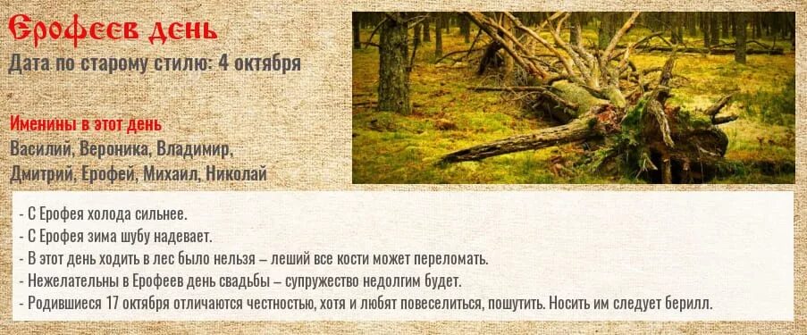 Дона гельсингер ангелы. В лесу справляли именины. Михалков заяц во хмелю текст. Картина ангел. Басня про льва и зайца с матом.