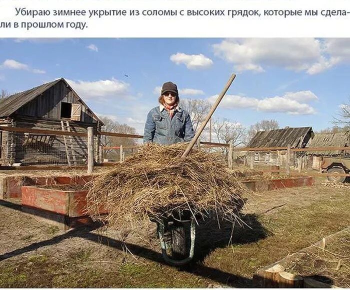 Сельская жизнь. Жизнь в русской деревне. Деревенская жизнь. Жить в русской деревне.