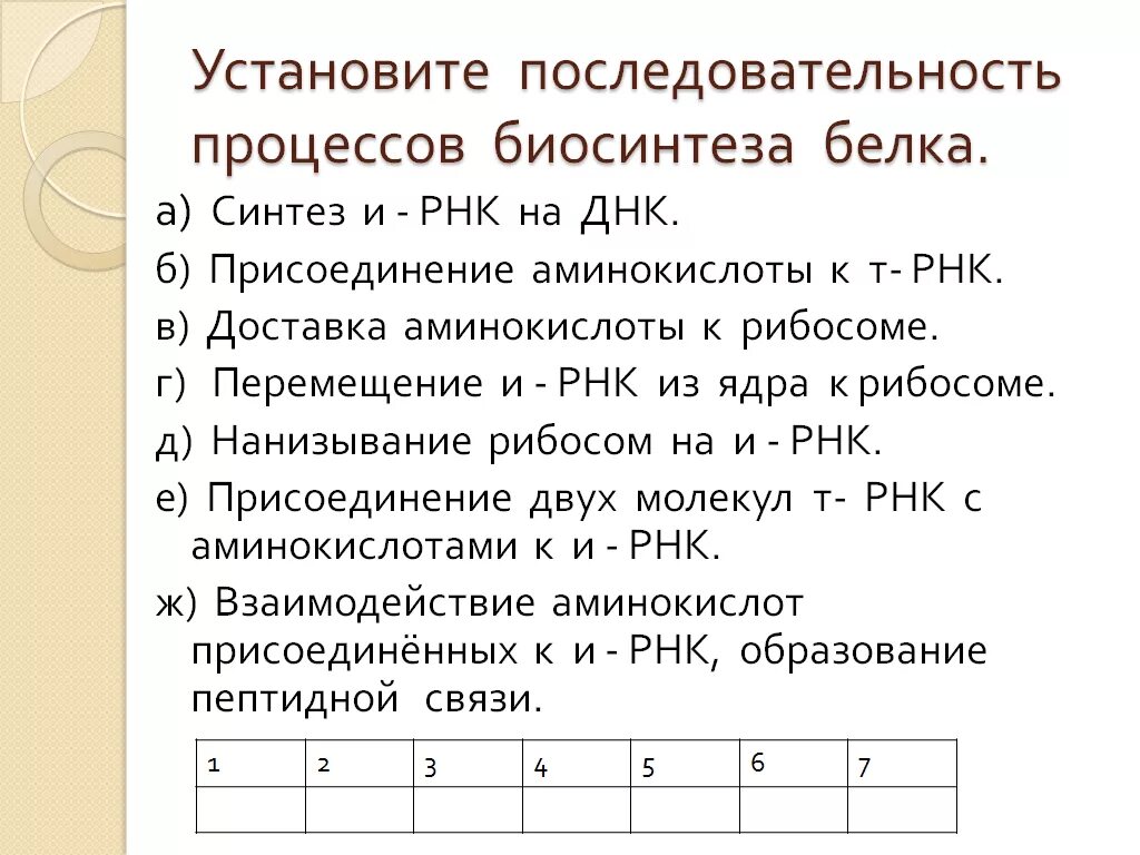 Установите последовательность этапов транскрипции присоединение. Этапы процесса биосинтеза белка. Последовательность реакций трансляции при биосинтезе белка. Синтез белка последовательность процессов.