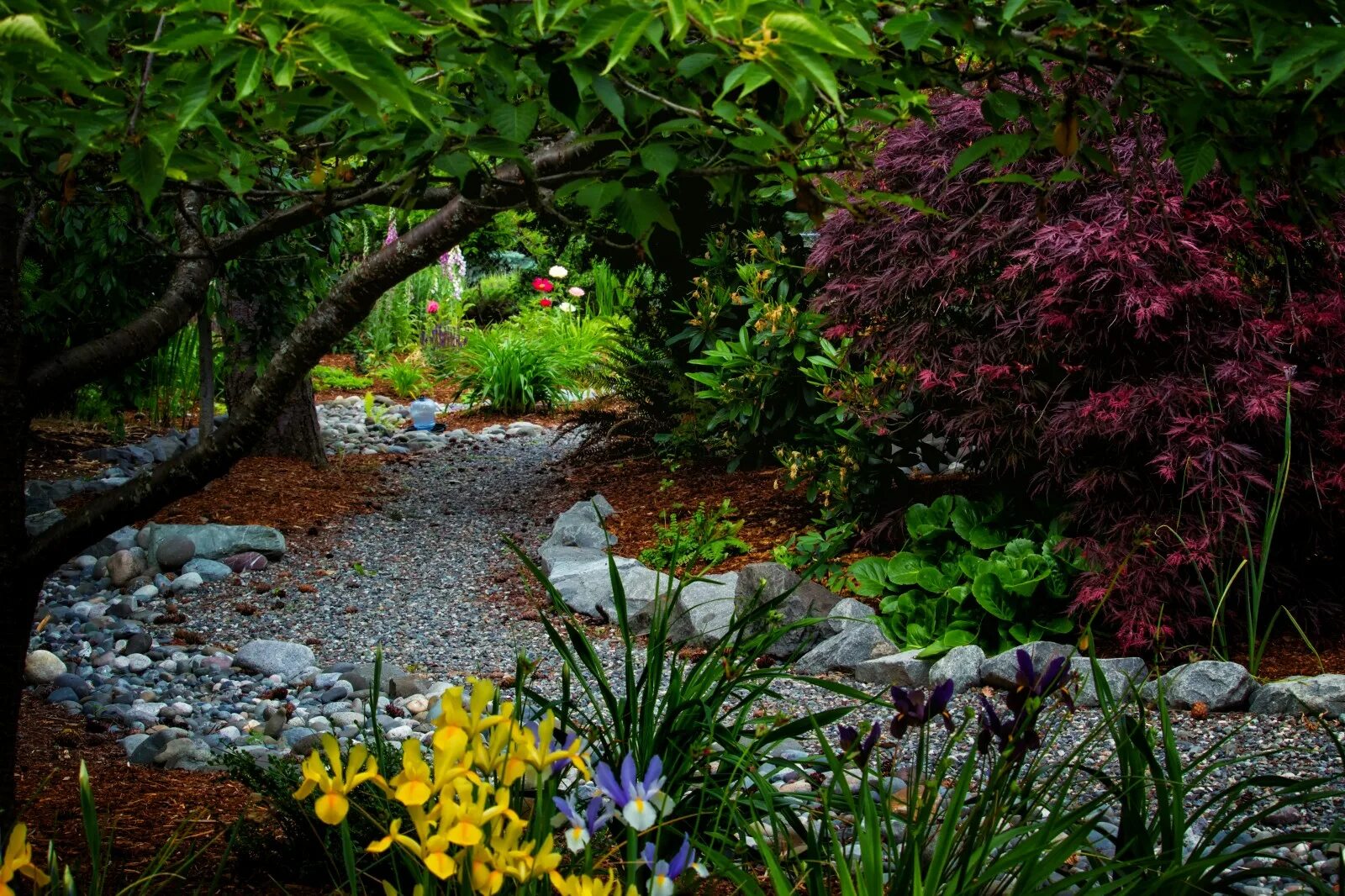 Stream path stream