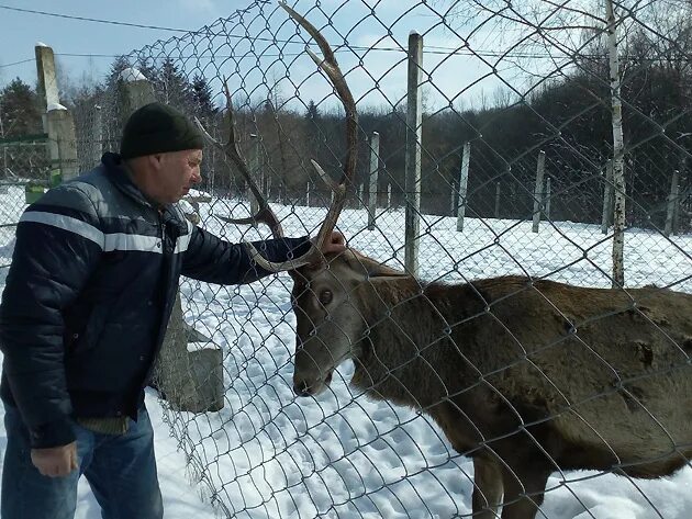 Обязана в зоопарке. Обязан зоопарк. Почему животные должны быть в зоопарке. Зачем в зоопарках обмениваются особями. Каким должен быть зоопарк