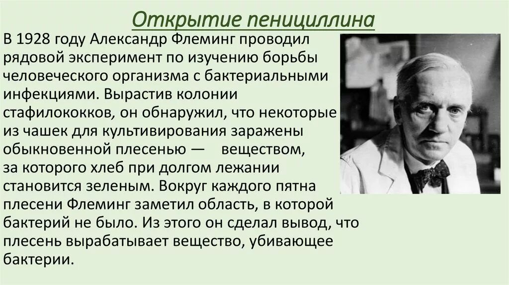 Когда изобрели антибиотики