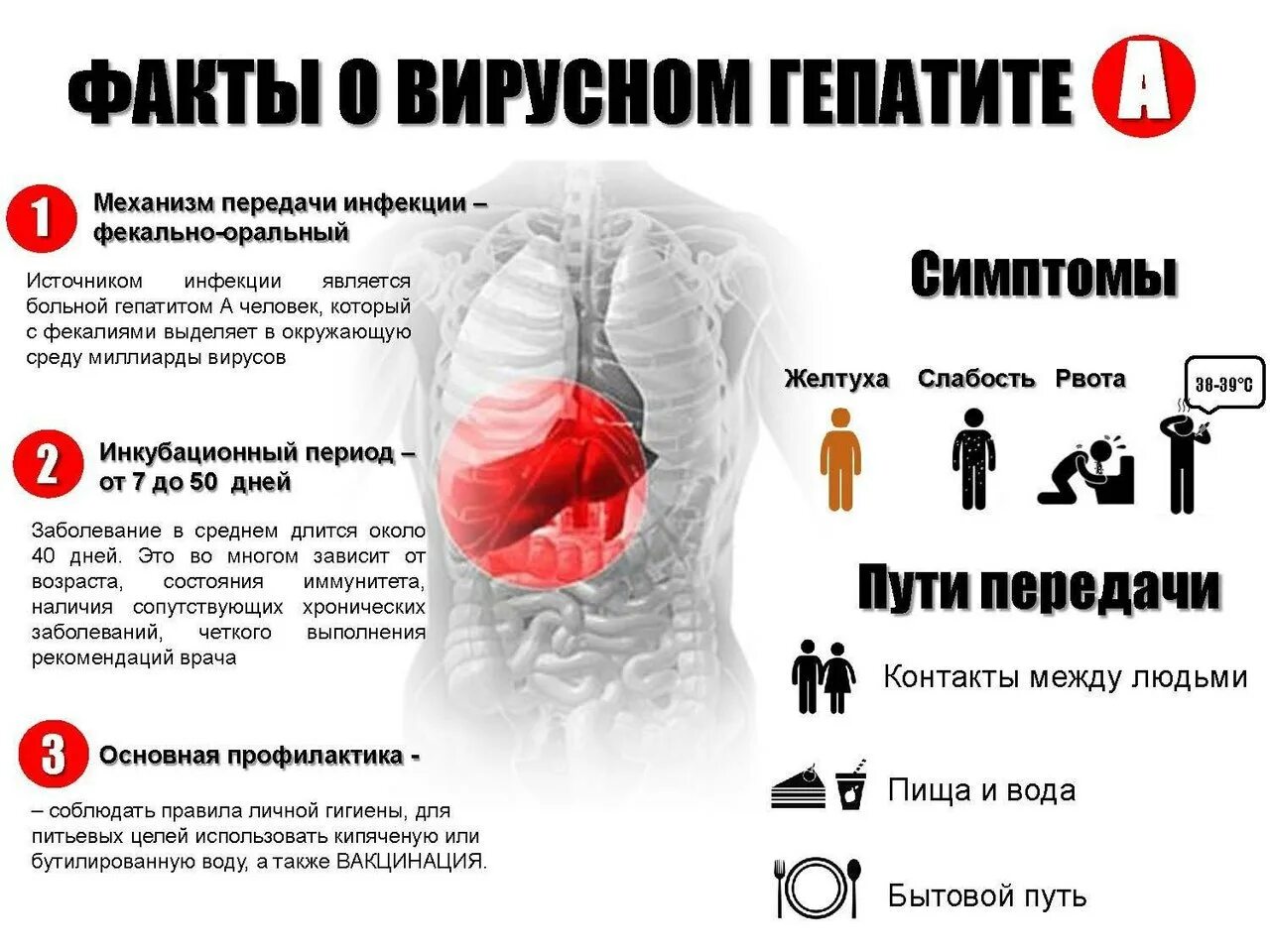 Вирусный гепатит опасен. Вирусные гепатиты. Проявление вирусного гепатита а.