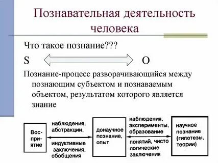 5 примеров личности и деятельности в обществе Социальное положение позиции человека в обществе Telegraph