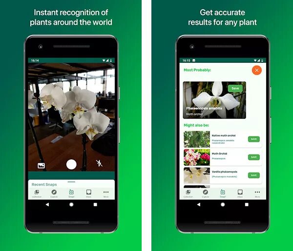 Распознавание растений приложение на русском. Программа для определения растений по фото для андроид на русском. Приложение для определения цветов. Приложение по травам. Приложение определяющие растения.