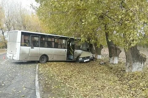Погода найдорф