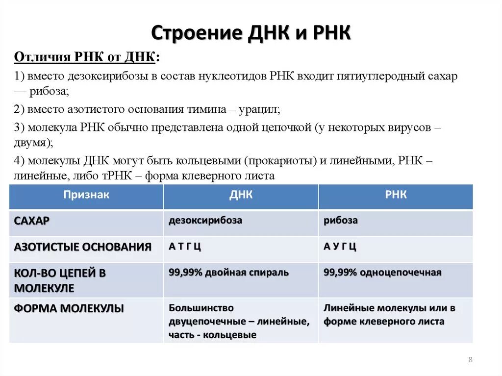 Рнк карт вход в личный кабинет. Строение молекулы ДНК И РНК. Структура молекулы ДНК И РНК. Разница между ДНК И РНК таблица. Структура ДНК И РНК.