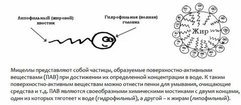 Мицелла это