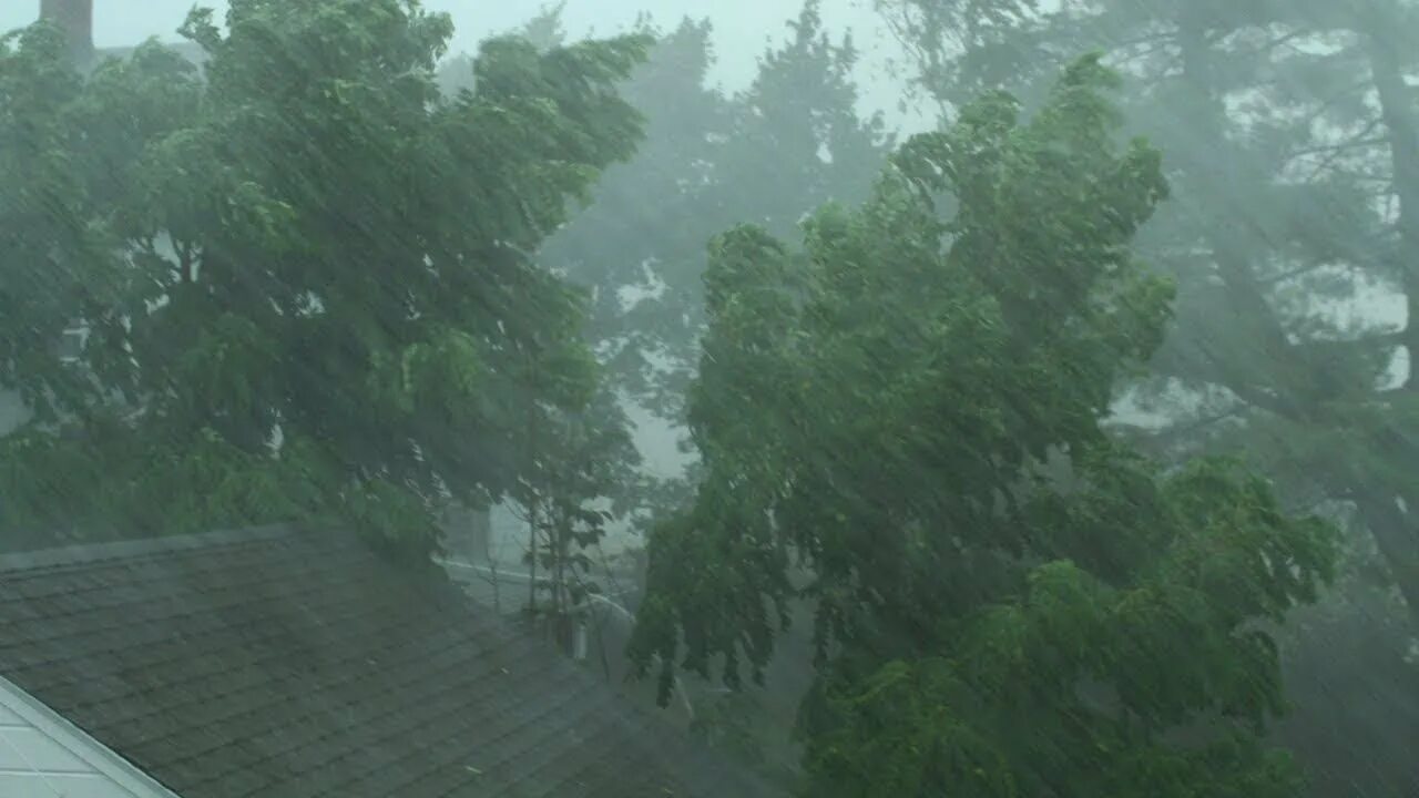 Rain Wind. Heavy Rain weather. Гроза дождь Китай. Сильный ливень буря дождь в rdr2. Raining windy