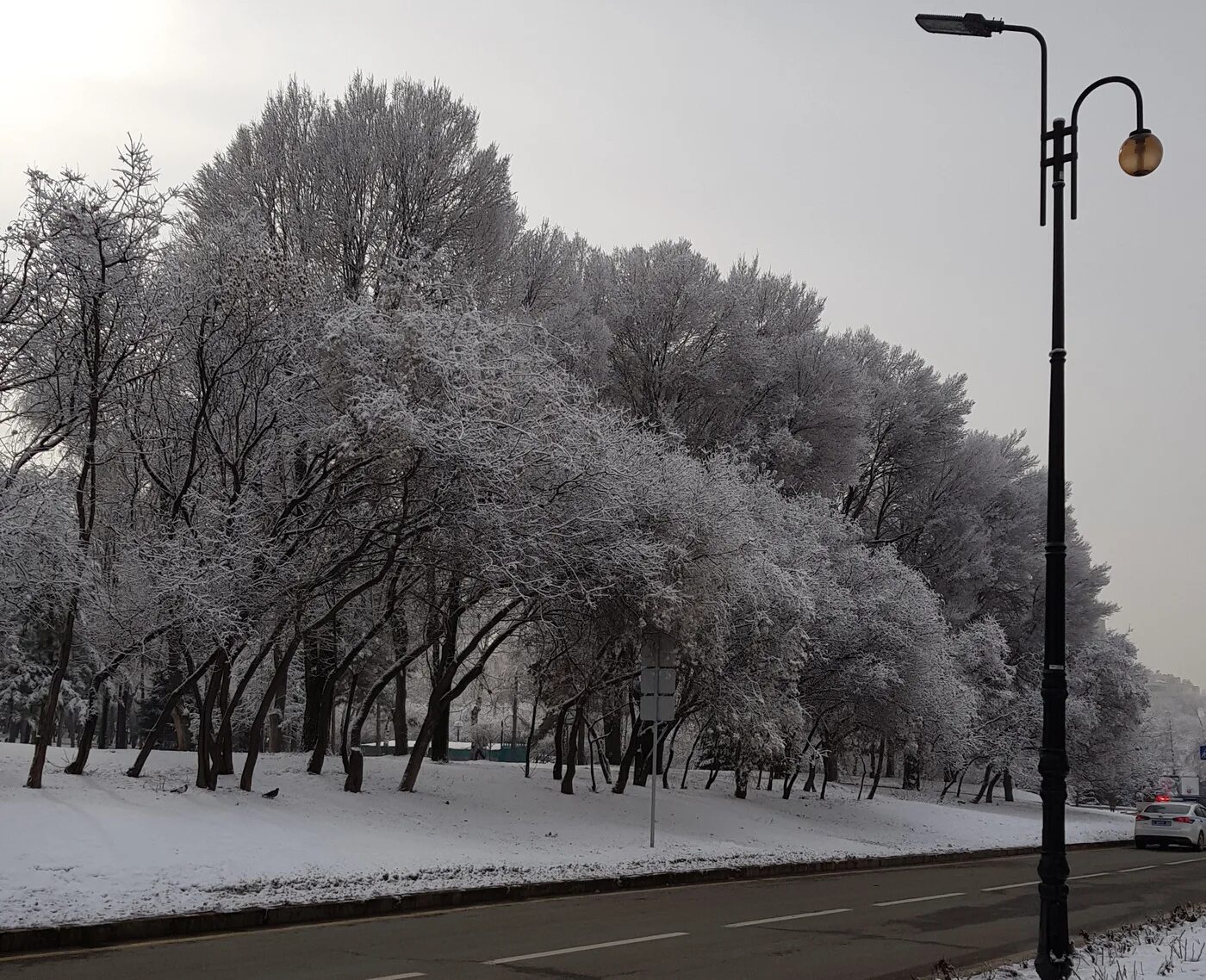 Серый день короче. Серый день.