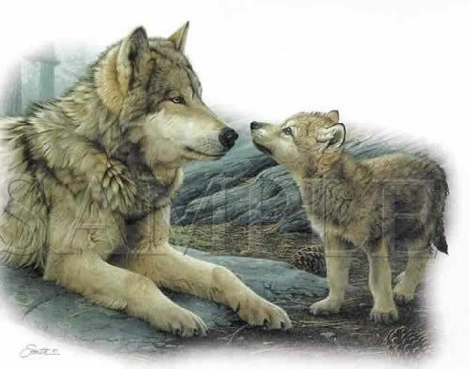 Волк детям о животных. Волк с волчатами. Волчица с волчатами. Волк волчица и Волчонок. Волчица-мать.