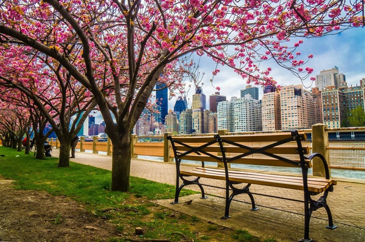 Spring central