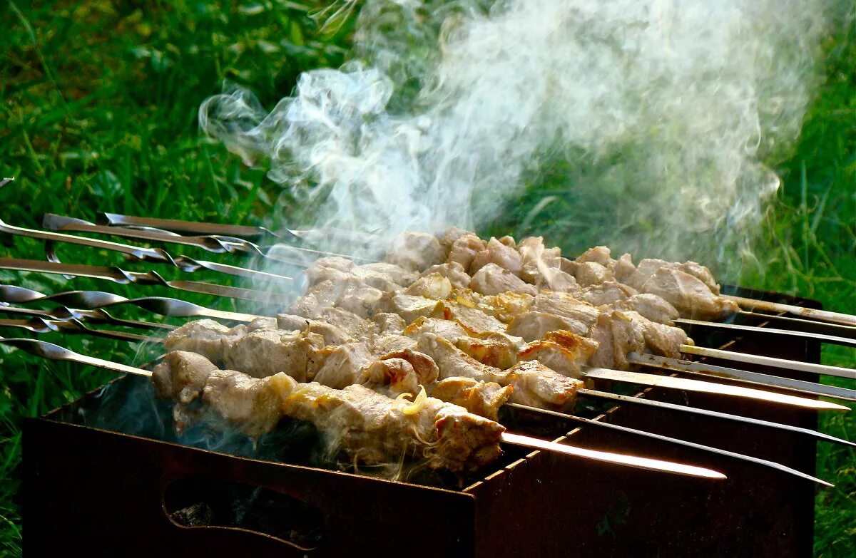 Два брата шашлык. Два брата шашлык якутск. Пикник шашлык на природе. Три брата шашлык рязань. Красивый шашлык.