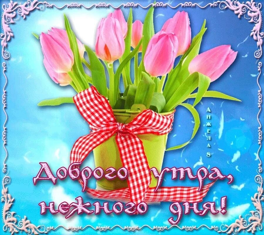 Спасибо все хорошо доброе утро