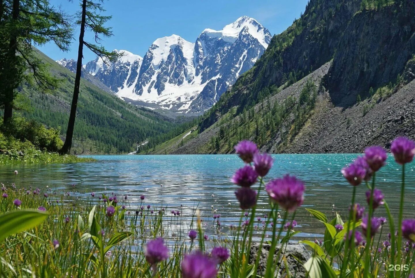Алтай красивые виды