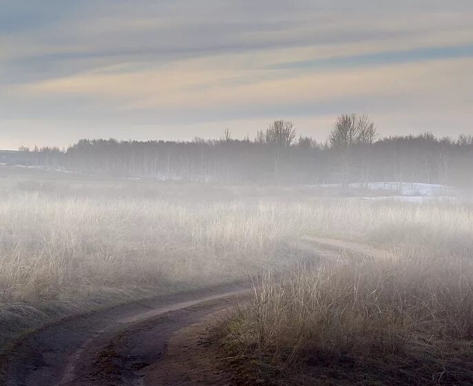 Утро в тумане стихотворение. Туманное утро. Утро туманное утро седое. Предрассветный туман. Тургенев утро туманное утро.