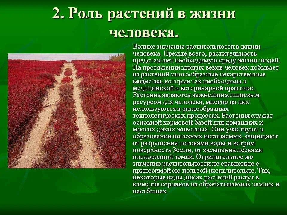 Используя информацию ресурсы подготовьте сообщение. Роль растительности в жизни человека. Роль растений в природе и жизни человека. Роль растений в жизни человека. Коль растений в природе.