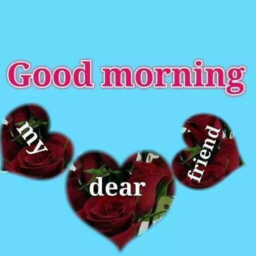 Dear friend good day. Good morning Dear friend. Good morning my Dear. Good morning Dear от девушки. Good morning my Dear friend картинки.