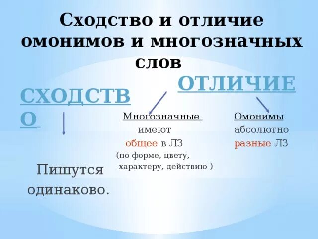 Различие слов. Многозначность и омонимия различия. Омонимы и многозначные слова различия. Омонимы и многозначные слова примеры. Омонимы от многозначных слов.