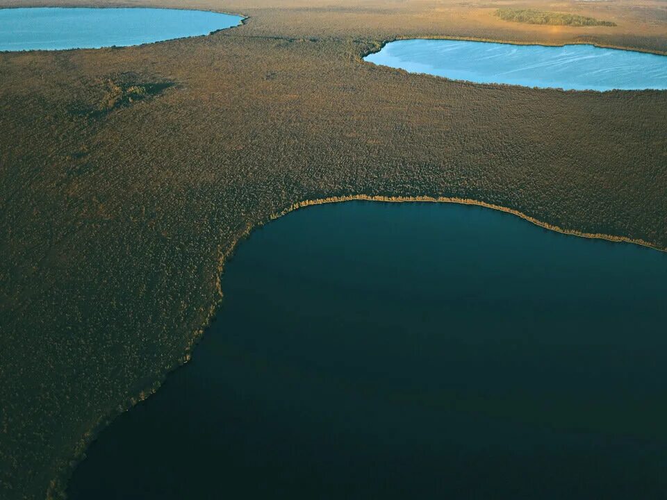 Самое большое озеро края. Полистовский природный заповедник. Полистовский природный заповедник реки. Озеро Полисто. Отзеро коме.