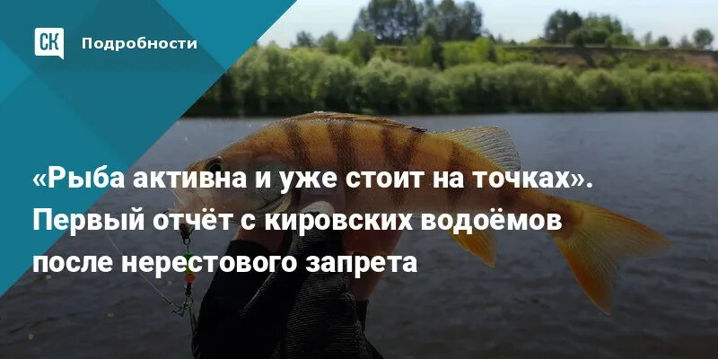 Нерестовый запрет 2025 в саратовской. Нерестовый запрет 2025 в оренбургской области. нерестовый запрет 2025 в беларуси. нерестовый запрет на азовском море. с первым днем нерестового запрета.