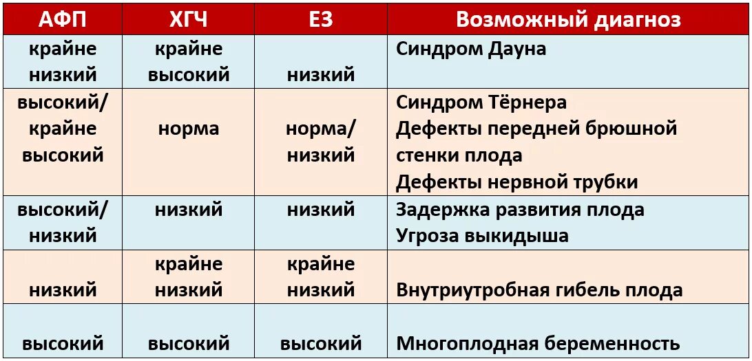 Два в триместре