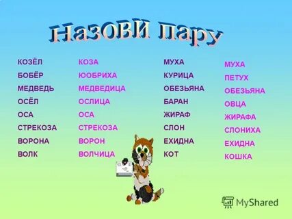 Составить слово волка