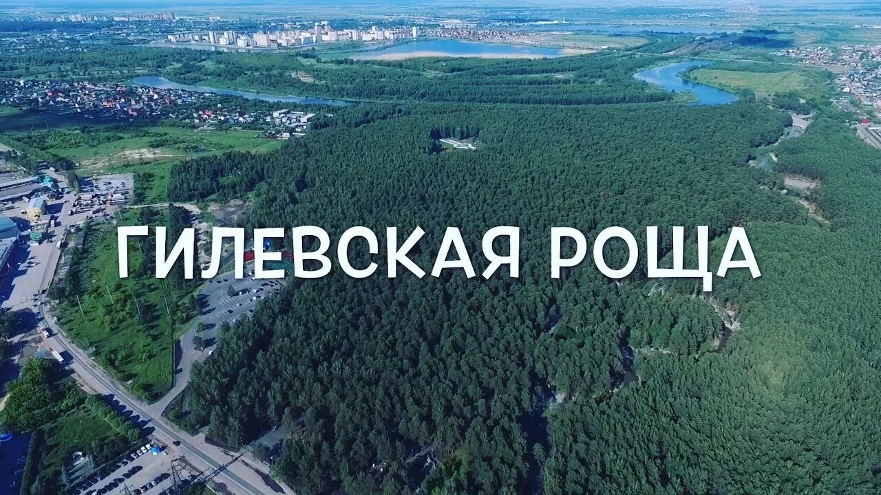 Гилевская роща песни. Гилевская роща тюмень. Могила в гилевской роще. Гилевская роща песни. Гилевская роща тюмень.
