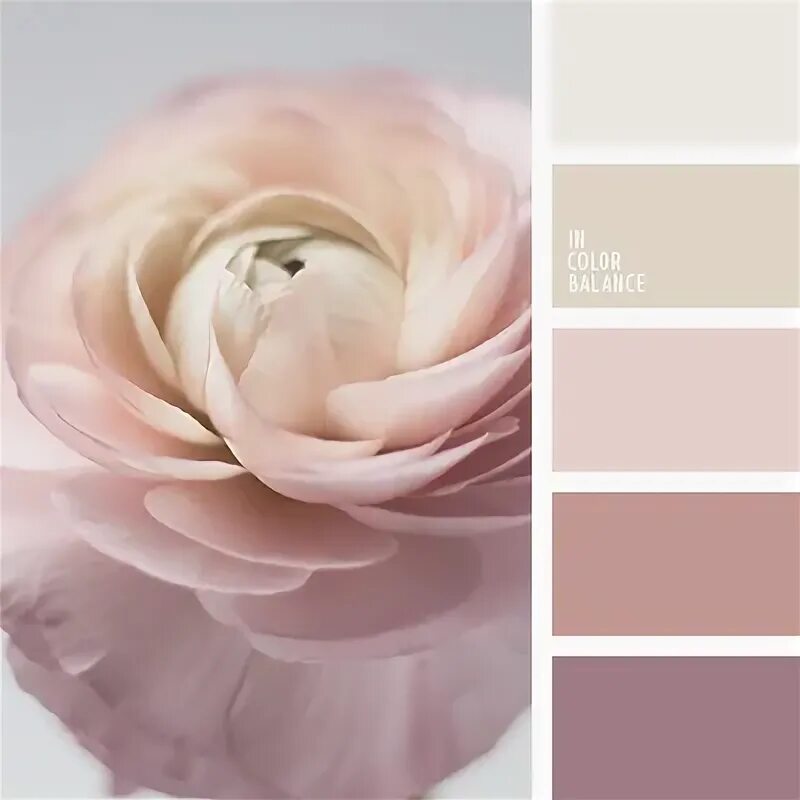 Pin by Luci Buenno on Color study Seeds color, Seeds color palette, Design seeds