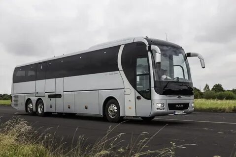 Many buses