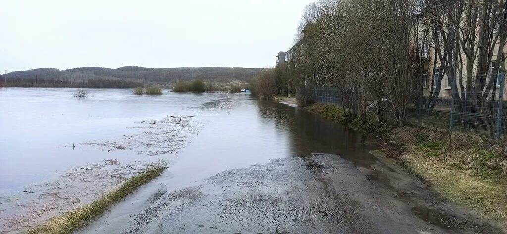 Вода в реке кола