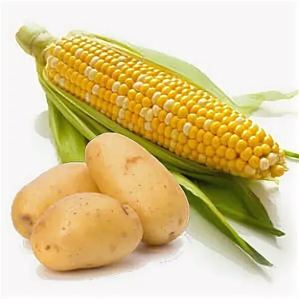 Картофель горох фасоль. Салат с картошкой и кукурузой. Горох кукуруза картофель. Картошка с кукурузой. Кукуруза батат картофель.