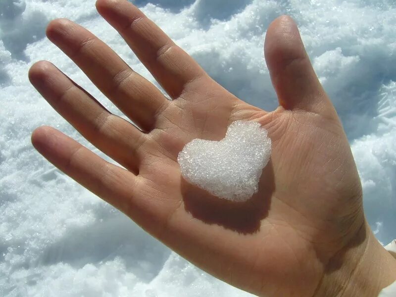 Белый снег на ладони мои. Снег в ладошках. Снег на ладони. Сердце из снега в ладонях. Снежок в руке.