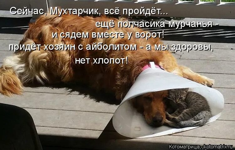 Подождите минутку. Меня пронзила радость прикольные картинки с надписями. Минутка добра. Минутка добра. Акция минутка заботы.