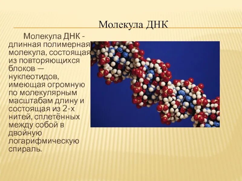 Из сего состоят молеку. Тело состоит из молекул. Растение состоит из молекул. Молекула воды угол между атомами. Строение вещества.