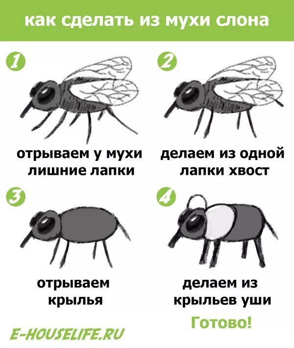 Поставь муху. Как сделать из мухи слона. Слона превратить в муху. Сделать из слона муху. Муха превращается в слона.